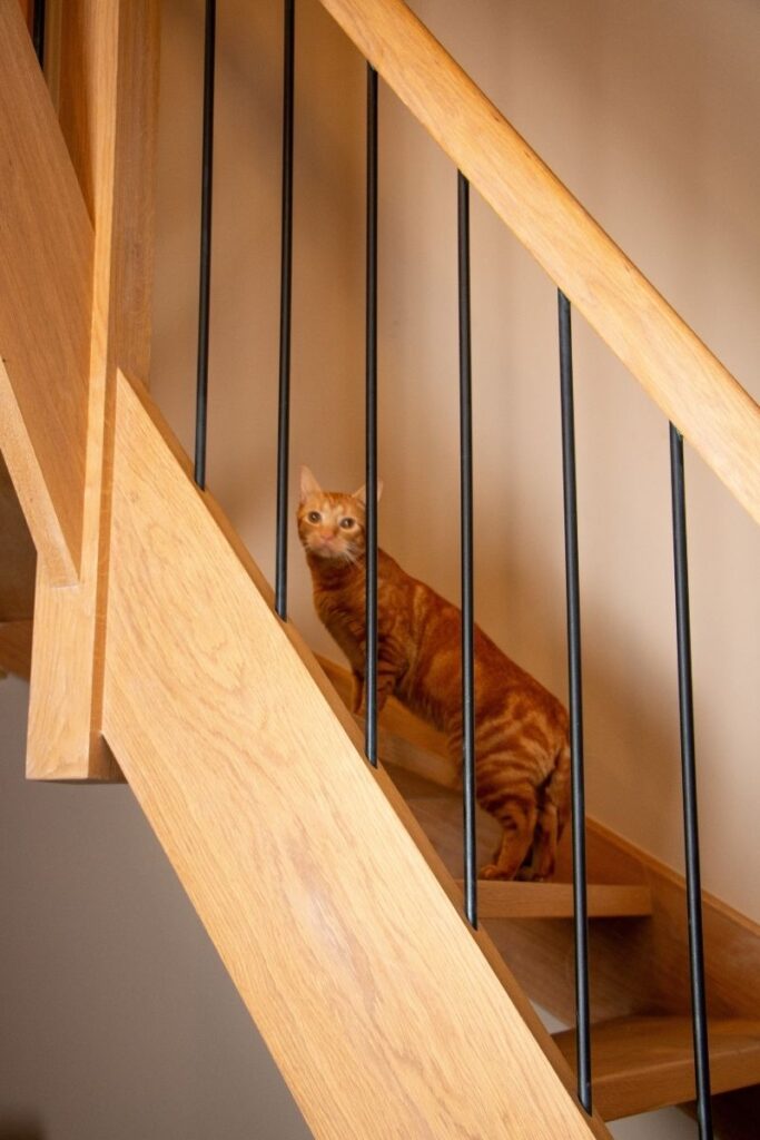 trapmodel Modest Plus,houten trap,metalen balusters,trapwang,poes
