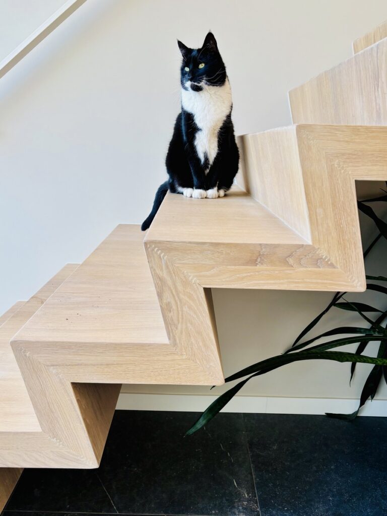 moderne trap,design,z-trap,z-vorm,hout,eyecatcher,hip,kalmthout